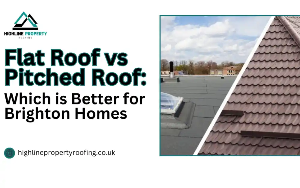 Flat Roof vs Pitched Roof