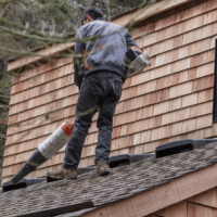 How To Remove Moss From Roof In Brighton, UK (2) (1)