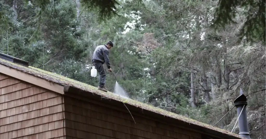 remove moss from roof