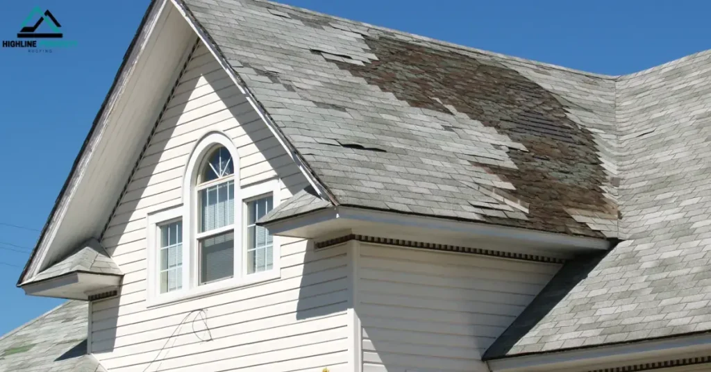 Look for Obvious Roof Damage