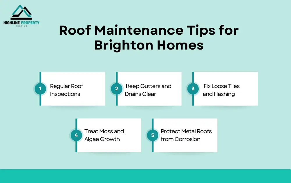 Roof Maintenance Tips for Brighton Homes
